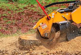 Best Organic Lawn Care Solutions  in Paloma Creek South, TX